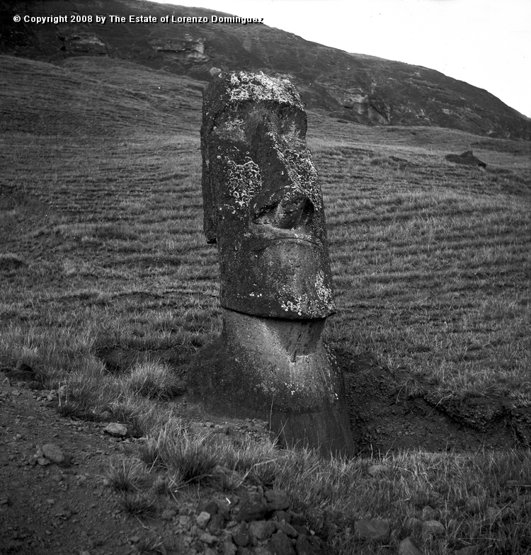 RRE_Angel_01.jpg - Easter Island. 1960. Moai on the exterior slope of Rano Raraku. Identified by Lorenzo Dominguez as "The Angel."
